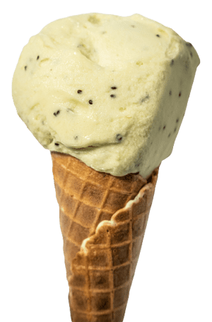 Artigelato - Kibana