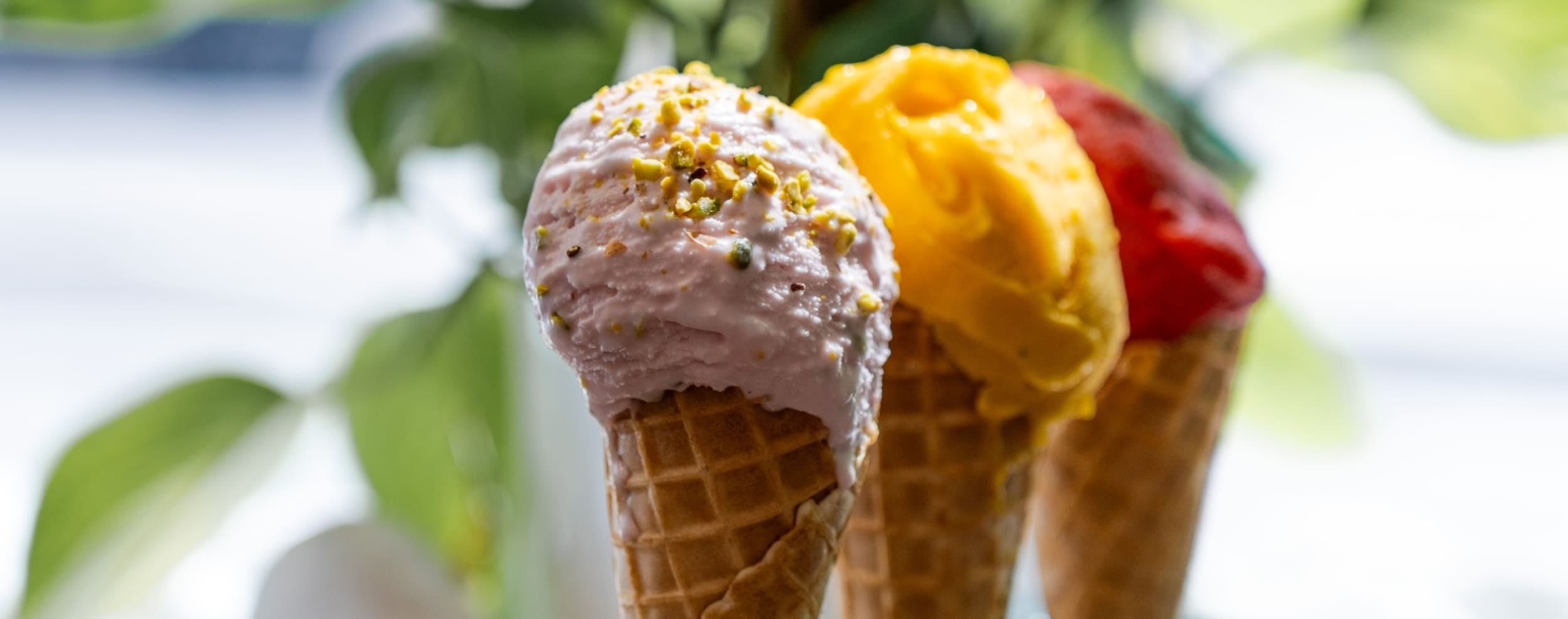 Artigelato - Slider